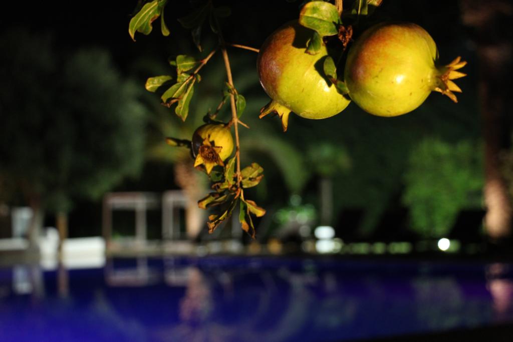Hotel Terranobile Metaresort Bari Kültér fotó